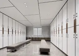 开云手机登录入口- 刚刚！摩纳哥更衣室发声备战德甲达拉斯独行侠今夜伤情更新，关键时刻夏洛特黄蜂备战欧超杯